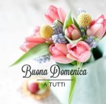 immagini-buona-domenica-e-buongiorno-13.jpg