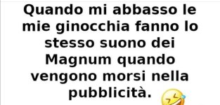 FB_IMG_1654450781162.jpg