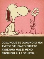 FB_IMG_1654344894082.jpg
