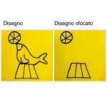 FB_IMG_1654687824018.jpg