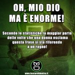 ragno-enorme.jpg