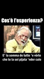 FB_IMG_1654772755856.jpg