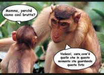 FB_IMG_1654772812942.jpg