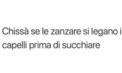 FB_IMG_1654608282681.jpg
