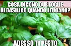 FB_IMG_1654608166405.jpg
