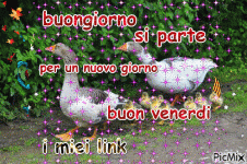 buongiorno-buon-venerdi-gif-17.gif