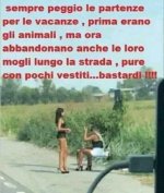 FB_IMG_1654860862523.jpg