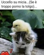 FB_IMG_1654948411333.jpg