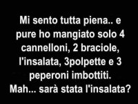 FB_IMG_1654933151902.jpg