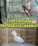 FB_IMG_1655042046801.jpg