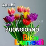 immagine_05-01-10.11.54.jpg