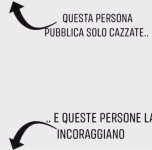 FB_IMG_1655131632126.jpg