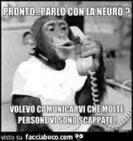 FB_IMG_1655111719803.jpg