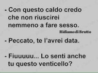 FB_IMG_1655313751052.jpg