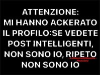 FB_IMG_1655183889694.jpg
