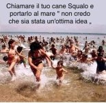 72.jpg