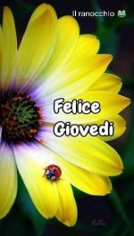 FB_IMG_1655357174040.jpg