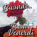 immagine_06-02-05.58.03.jpg