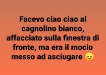 SmartSelect_20220617-153955_Facebook.jpg