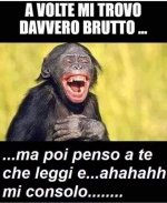 FB_IMG_1655477251775.jpg