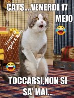 FB_IMG_1655461466127.jpg