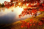 b-AUTUNNO1.jpg