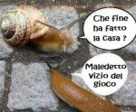 che-fine-ha-fatto-la-casa.jpg