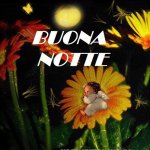 notte 21.jpg