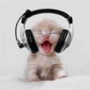 gatto-simpatico-musica.jpg