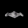 141.gif