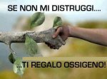 TERRA-OSSIGENO-.jpg