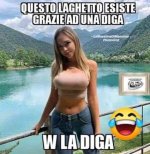 FB_IMG_1655461308486.jpg