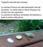 FB_IMG_1655657536233.jpg