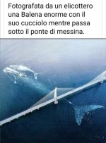 FB_IMG_1655628832545.jpg