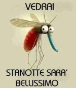 FB_IMG_1655703833328.jpg