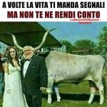 FB_IMG_1655920495944.jpg