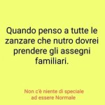 FB_IMG_1655892087827.jpg