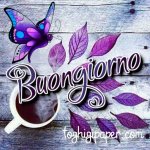 7ce3ee85c3232a95a77e38bc2d7ede2f.jpg