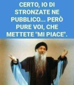 FB_IMG_1656087963271.jpg
