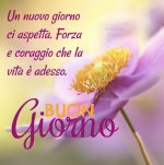 a4504e00ab8abc1de2d97cfb78c60e99.jpg