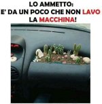 FB_IMG_1656136625648.jpg