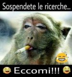 FB_IMG_1651127727378.jpg