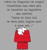 FB_IMG_1656343365001.jpg