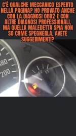 FB_IMG_1656342760489.jpg
