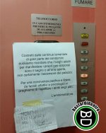 FB_IMG_1656521039265.jpg