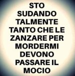 FB_IMG_1656520734586.jpg