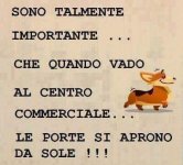 FB_IMG_1656514009703.jpg