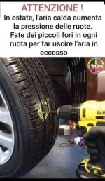 FB_IMG_1656494549123.jpg
