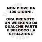 FB_IMG_1656575880501.jpg
