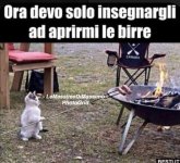 FB_IMG_1656485667878.jpg